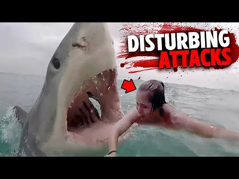 The Most DISTURBING Shark Attacks MARATHON!