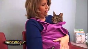 3K reactions · 601 shares | Cat-in-the-bag is a specially made cat...