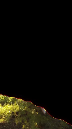 Demon Slayer Nezuko Cosplay Costume Showcase