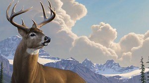 Comprar Deer Hunter: Reloaded