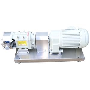 [Hot Item] Stainless Steel Positive Displacement Pump Rotary Lobe Pump Single/Butterfly/Three Rotor Pump