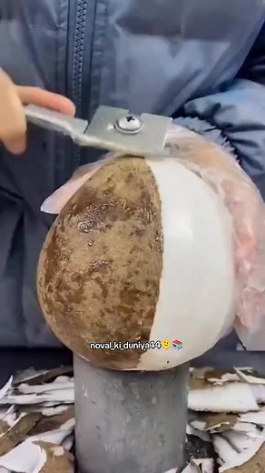 Exciting Continuation of the Novel: Part 16