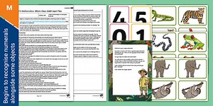 EYFS Maths: Jungle Animals Begins to Recognise Numerals Whole Class Adult Input Plan and Resource Pack