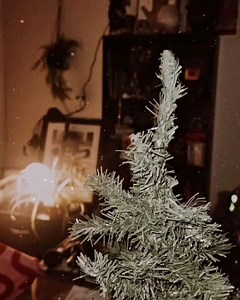 NinkComPoop on Reels