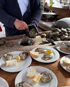 2.1K views · 42 reactions | Who else is dreaming about enjoying fresh oysters straight from the sea whilst contemplating the beautiful scenery of #Ston in Croatia?   [IG] travelista73 | Insight Vacations | Facebook