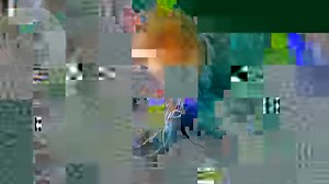 Lone purple female moon jellyfish among thousands of males in 'Jellyfish wedding'. | Storytrender