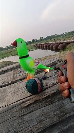 parrot unboxing toy testing