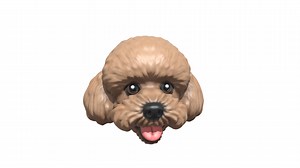 Smiling Poodle pet model - 3D model by Seed by mi (@seedbymi)