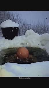 Gym Dose 💀 For more videos follow me on YouTube https://youtube.com/@dailyworkoutmodeon?si=lBYECzVOwINE1Tks #bodybuilding #gym #workout #fitnessmotivation #instagram | Fitness Guide