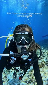 📍 Malapascua, Thresher sharks paradise 🦈 🎥 IG 'irenember' #ScubaDivingMag #PADI #MarineLife #UnderwaterContentCreator #Malapascua #MalapascuaIsland #Philippines #ThresherShark #Shark | Scuba Diving Magazine