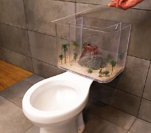 12K views · 16 reactions | Vom Badezimmer zum Unterwasserparadies! DIY-Toiletten-Aquarium! | 5-Minuten Tricks | Facebook