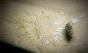 Le Convoi de l'extrême - S06 E09 - Un pour tous, tous pour un