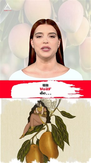 Un vârf de… Mango Mango-ul (Mangifera indica) este originar din Asia de Sud, unde este cultivat încă din jurul anului 2000 î.Hr. În mitologia hindusă, mango-ul este considerat un fruct sacru, dăruit oamenilor de către zei. #alephnews #unvarfde #mango | Aleph News | Facebook