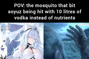 That smile! That goddamn smile!🧊 - Rai | Azur Lane Dock of Memes