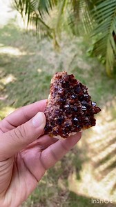 Available! Natural Citrine Crystal 🧡 Benefits: Success, Positivity & New Beginnings Sacral Chakra Stone & Solar Plexus Chakra Stone Astrological Sign: Libra, Scorpio & Aries Price on request ✉️ #gargotimuseum #citrine #citrinequartz #citrinecrystal #citrinestone #nashik #pune #mumbai #nagpur #hyderabad #chennai #bangalore #indore #ujjain #bhopal #lucknow #gorakhpur #delhi #faridabad #gurgaon #kolkata #india | Gargoti The Mineral Museum