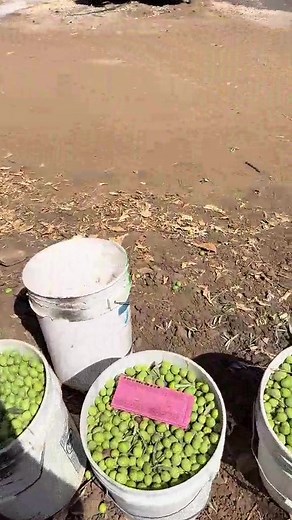 #agricultureworldwide | Designfood with Platter Fruits