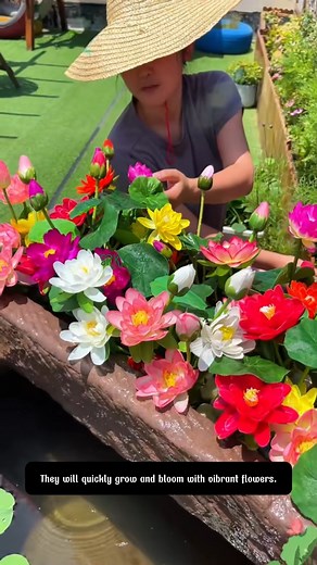 Are you ready to transform a corner of your yard into a stunning mini lotus pond | SRK