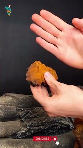 What Are Chaga Mushrooms ? #chagamushroom #medicinalmushrooms