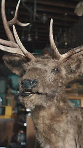 Teens who vape may be polluting their lungs with toxic chemicals. | GreatestHighlights