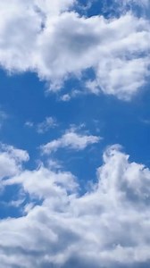 So meow much purr so very cat Hungry ? Cranberry Mold Recipe Mix jello with hot water. Jell slightly then add cranberry sauce, sour cream, and nuts. Mix and chill until set. | BMW matrix