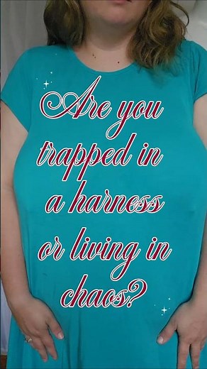 Trapped in a Harness vs. Living in Chaos? (The Full-Bust Bra Struggle) 🛑❌
