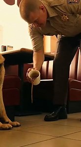 5.1K views · 47 reactions | "THE DEPUTY SPILLED HOT COFFEE ON MY...