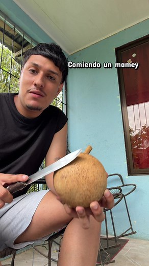 Mamey: Deliciosa Fruta de Costa Rica