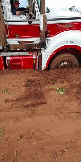 #bossdog#nodamagedone#nearlybeertime