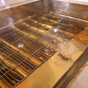 Amazing Grilled Fried Chicken 🐔🍗 The complete Process 💕 #khanekeshokeen #amankumar #follow #like #f #followme #love #likes #instagood #likeforlike #followback #instalike #photooftheday #l #instadaily #picoftheday #amazing #smile #instafollow #bestoftheday #igers #style #girl #instagram #look #follower #followers #follows #food #me #bhfyp #shorts #reelsvideo #reelslovers #reelitfeelit | Khane ke Shokeen