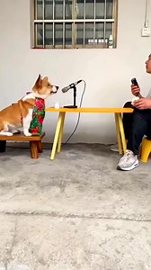 🤧 Lên tiếp cho các bạn siêu phẩm mới: ài ái âu ấu ấu ấu ầu âuuuuuu.....Ú..ú....úuu......ú...😂 | Machinex.vn