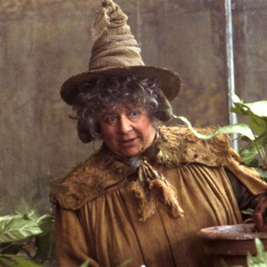 Professor Sprout actress claims adult fans "should be over" Harry Potter by now