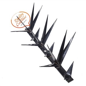 [Hot Item] Powder Coating Hot Dipped Galvanized Anti-Climb Wall Spike for Fencing