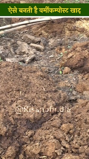 ऐसे बनती है Vermicompost खाद ये है पूरी Process | Organic Farming | Natural Farming #kisanofindia #vermicompost #vermicomposting #organicfarming #organicmanure #VermiManure #viralreels #viralshorts #viral #shorts | Kisan Of India