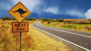 Warning Sign Kangaroo Crossing On Australian Stock Footage Video (100% Royalty-free) 15855763 | Shutterstock