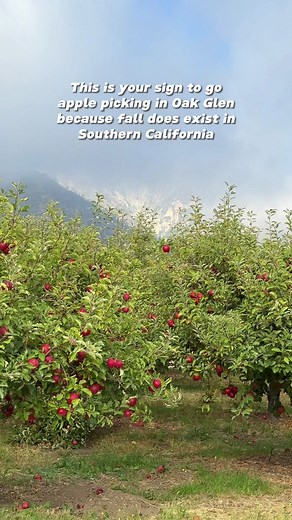 Thalia • travel inspo & tips on TikTok