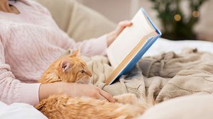 Psychologie: Allein und zufrieden – Wie Juliane Hartmann ihren Weg als Single fand