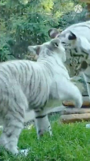 Momes love to you baby.#lovely status #momes love ❤️❤️💕👩‍🦰😊😊☺️👩‍🦰🎉