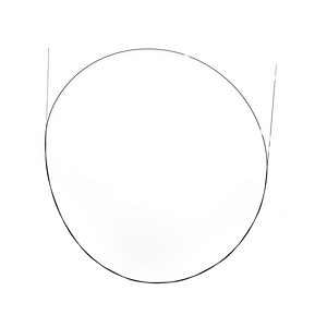 [Hot Item] Professional Medical Endoscope /Flexible Tube Without Coating and Moulded Hub and Taper Grinding Distal