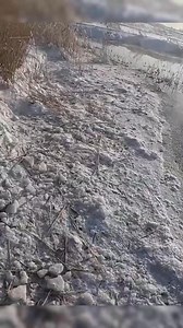 I set up a grabber and caught a lot of fish #fishing #biting #winter #spinning | Victoria Paris