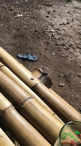 150K views · 2.6K reactions | Debay mandi pagi殺 | Wulan Muda | Facebook