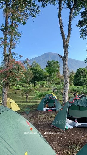 832K views · 880 reactions | Info Spot ngecamp di Purwokerto yang view cakep dan fasilitasnya lengkap lur  Bukit Tentung #Ngecamp #Camp #Baturradeb | Info Purwokerto | Facebook