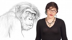 37 reactions | Bonobos are incredibly smart. They can build fires, cook meals, are sex positive and can even get pretty far in Pac-Man. | Animalogic | Facebook