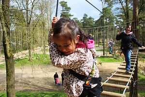 High Ropes & Zip Wires for Kids | Treetop Adventure | Go Ape