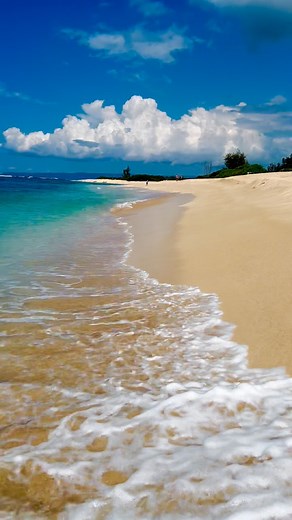 Daily Paradise… The vast open beyond stunning beaches of the North Shore of Oahu Hawaii are beyond magical and healing many sea turtles this day, but hard to take a photo of them because they love to graze and eat and hang out in all of the abundance of different types, sea grass, and seaweeds but every now and then One comes up for a quick breath of air, near end of reel 🌈✨🌺 #seaturtles #northshore #paradise #beachlife #beach #hawaii #recharge #life #live #actup #ocean #sun #turtle #escapism 