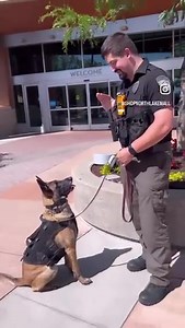 Northlake Mall on Reels