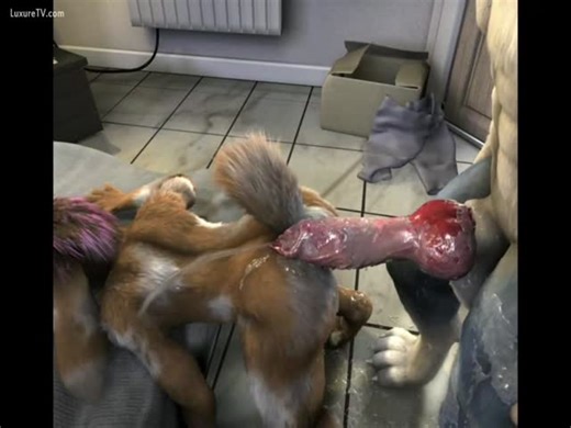 Furry knot pullout comp