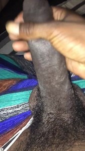 Stroking the elephant trunk