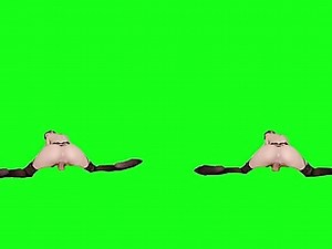 JR VR Passthrough - Greenscreen