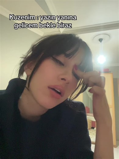 @zynp.sdde