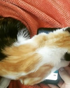 4.6K views · 113 reactions | Consejos para aquellos que quieran...